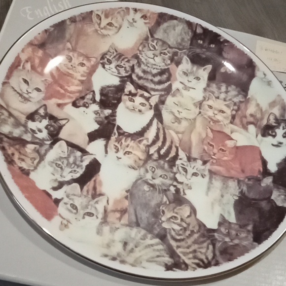 Royal Vale Decorative Cat Plate in Box - Picture 7 of 8